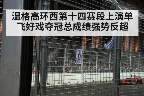 温格高环西第十四赛段上演单飞好戏夺冠总成绩强势反超